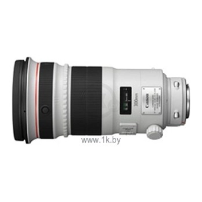 Canon EF 300mm f/2.8L IS II USM