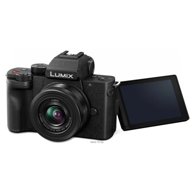 Panasonic LUMIX G DC-G100V Kit