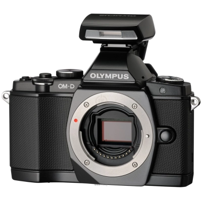 Olympus OM-D E-M5 Kit