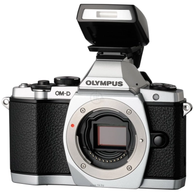 Olympus OM-D E-M5 Kit