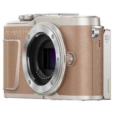 Olympus Pen E-PL10 Body