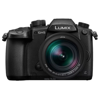 Panasonic Lumix DC-GH5L Kit