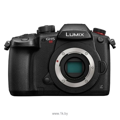 Panasonic Lumix DC-GH5S Body