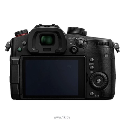 Panasonic Lumix DC-GH5S Body