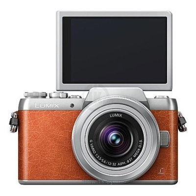 Panasonic Lumix DMC-GF8 Body