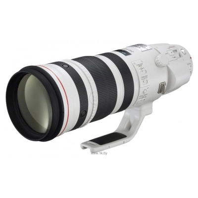 Canon EF 200-400mm f/4L IS USM Extender 1.4X