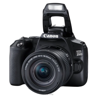 Canon EOS 250D Kit